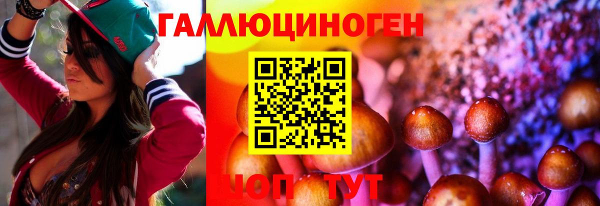 Острогожск  Псилоцибиновые грибы Psilocybe  Вход с VPN  Галлюциногенные грибы Psilocybe 